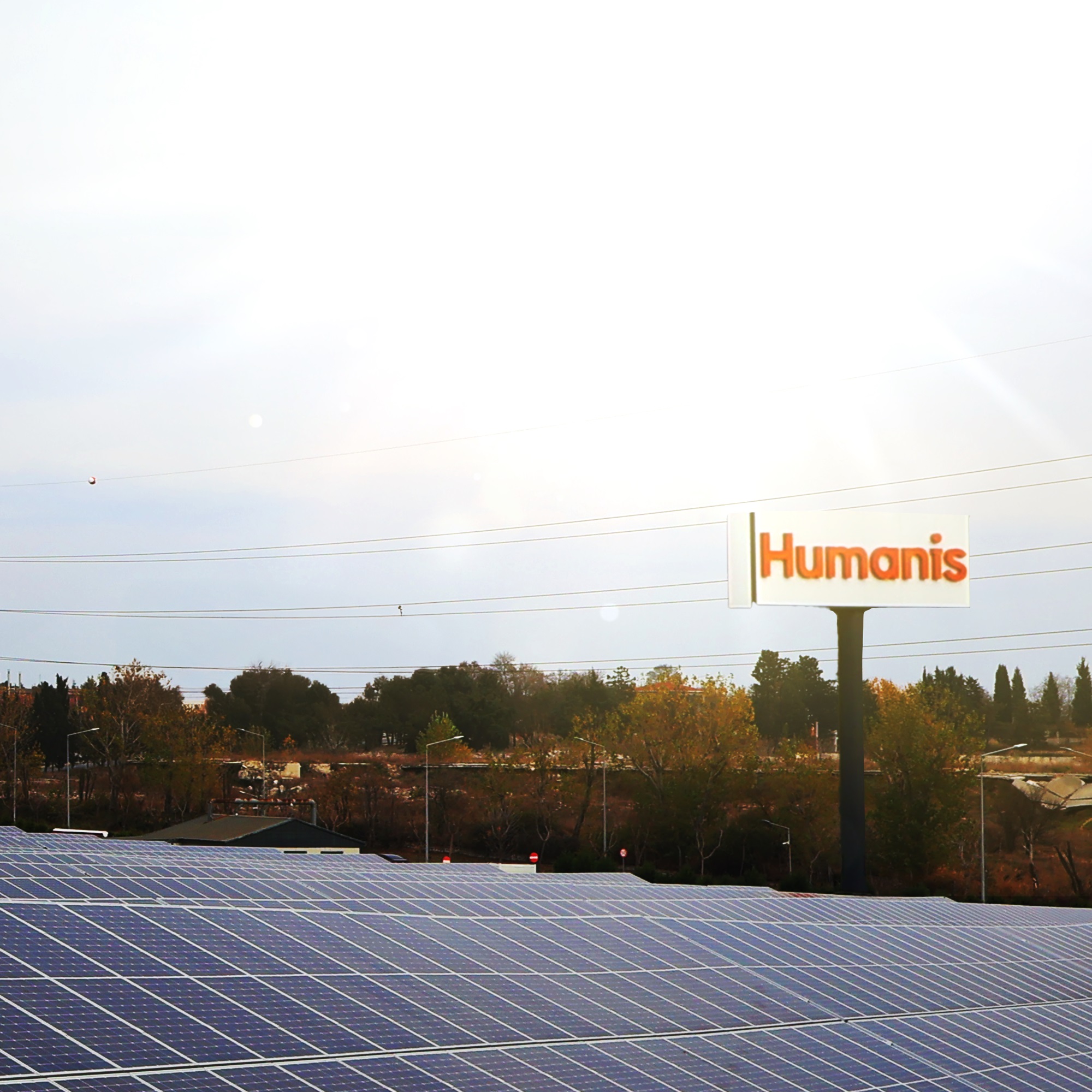 Humanis