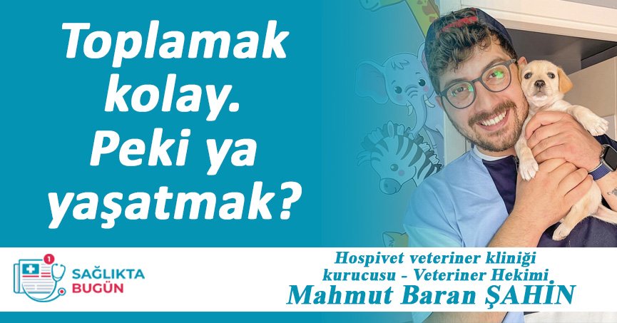 Toplamak kolay. Peki ya yaşatmak?