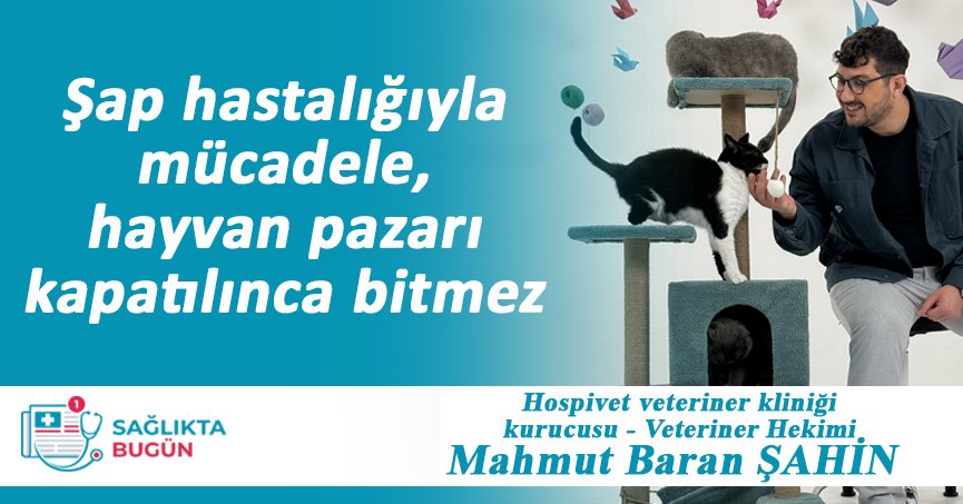 Şap hastalığıyla mücadele, hayvan pazarı kapatılınca bitmez
