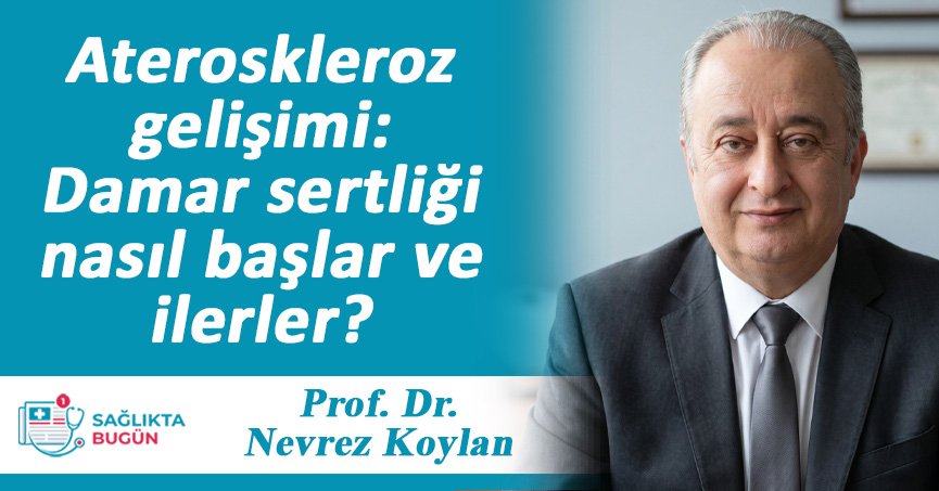 Ateroskleroz gelişimi: Damar sertliği nasıl başlar ve ilerler?