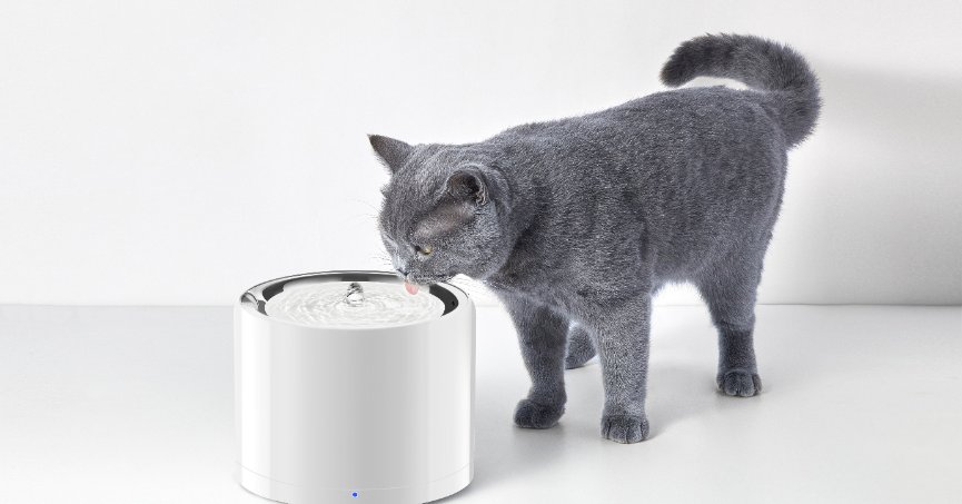 EVOFONE’dan Petkit akıllı su pınarı ekosistemi