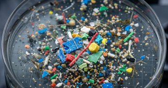Görünmeyen tehlike: Mikroplastikler
