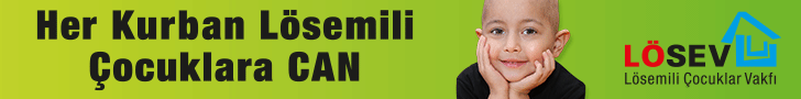 Lösev logo yanı
