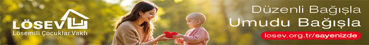 Lösev logo yanı