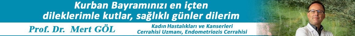 Mert Göl Mobil Haber ici