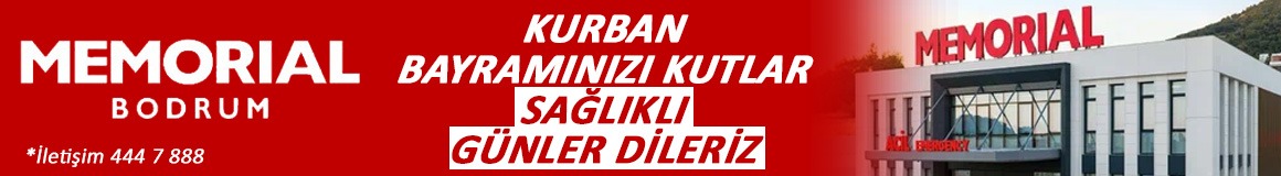 Memorial mobil haber ici