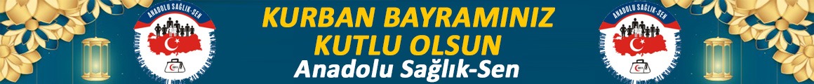 Anadolu Sağlık Sen